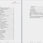 100 Tage Plan Vorlage Einzigartig Winter Nst Mieter Plan Vorlage Kunst Lektion Plan