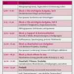 100 Tage Plan Vorlage Erstaunlich Motivation Und Zeitmanagement Buch Golden Rules