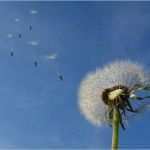 10er Karte Vorlage Wunderbar Preise Für Salzsitzungen In Den Salzräumen Nidderau