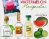 1&amp;amp;1 Website Vorlagen Einzigartig Watermelon Margarita S Watermelon Patron Does It