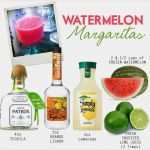 1&amp;amp;1 Website Vorlagen Einzigartig Watermelon Margarita S Watermelon Patron Does It