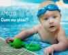 1&amp;amp;1 Website Vorlagen Erstaunlich Piscina Apollo Iasi Adancime