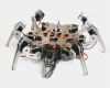 1&amp;amp;1 Website Vorlagen Schön Arduino Programming Bionic Spider Robot 6 Foots Robot