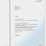 1und1 Kündigung Vorlage Pdf Süß 8 Best Images About Kündigungsschreiben On Pinterest