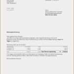 3 Mahnung Vorlage Bewundernswert 13 3 Mahnung Vorlage