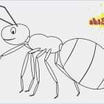 3d Buchstaben Vorlage Zum Ausdrucken Elegant Happy Birthday Buchstaben Zum Ausdrucken