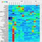 3d Buchstaben Vorlagen Kostenlos Schönste 3d Buchstaben Vorlagen Kostenlos