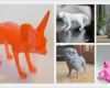 3d Drucker Kostenlose Vorlagen Beste 3d Druck In Der Natur Die top 10 Tiere Aus Dem 3d