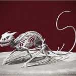 3d Print Vorlagen Wunderbar 29 Best Images About Mythical Creature Skeletons On