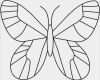 3d Vorlagen Zum Ausdrucken Erstaunlich 3d Vorlagen Zum Drucken Cool Schmetterlinge Ausmalbilder