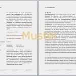 5 Jahres Plan Vorlage Best Of Autovermietung Businessplan Vorlage