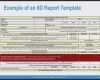 8d Report Vorlage Pdf Erstaunlich 8d Report Vorlage