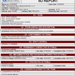 8d Report Vorlage Word Erstaunlich 8d format Tulumsender