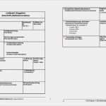 8d Report Vorlage Xls Gut 10 Problem solving Template Excel Exceltemplates