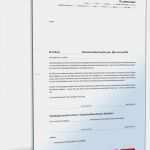 Abberufung Datenschutzbeauftragter Vorlage Beste Bestellung Datenschutzbeauftragter