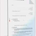 Abberufung Datenschutzbeauftragter Vorlage Neu Kundigung O2 Vertrag Vorlage Handyvertrag Widerrufen