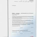 Abberufung Datenschutzbeauftragter Vorlage Wunderbar Bestellung Datenschutzbeauftragter