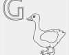 Abc Buchstaben Vorlagen Elegant Gans Ausmalbild Buchstaben Vorlagen Zum Ausdrucken