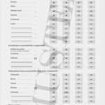 Abitur Fälschen Vorlage Best Of Hochschulreife Deutsches Abitur Kaufen Reproduktion Nach