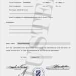 Abitur Fälschen Vorlage Einzigartig Die Besten 25 Zeugnis Vorlage Ideen Auf Pinterest