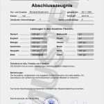 Abitur Fälschen Vorlage Hübsch 21 Techniker Zeugnis Fälschen