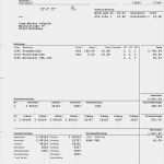 Abrechnung Der Brutto Netto Bezüge Vorlage Beste Brutto Netto Abrechnung Datev Brutto Netto Abrechnung