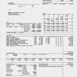 Abrechnung Der Brutto Netto Bezüge Vorlage Erstaunlich Datev Abrechnung Der Brutto Netto Bezüge Download Datev