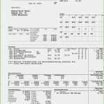 Abrechnung Der Brutto Netto Bezüge Vorlage Wunderbar 13 Abrechnung Der Brutto Netto Bezüge