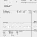 Abrechnung Minijob Vorlage Einzigartig Datev Abrechnung Lohnzettel K Ein Blatt Mit Sieben