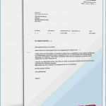 Absage Bewerbung Praktikum Vorlage Cool 15 Absage Bewerbung Muster