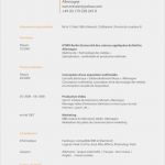 Absage Bewerbung Praktikum Vorlage Schön 15 Absage Bewerbung Muster