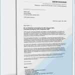 Abschlussbericht Praktikum Kindergarten Vorlage Genial Steckbrief Kindergarten Praktikum Vorlage Steckbrief