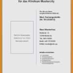 Abschlussbericht Praktikum Vorlage Großartig Steckbrief Kindergarten Praktikum Vorlage Steckbrief