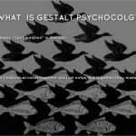 Abschlussbericht Vorlage Großartig Gestalt by Dominic Hughes