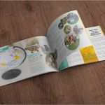 Abschlusszeitung Vorlage Neu Abizeitung Abschlusszeitung Zeitung Selber Gestalten