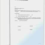 Abtretungserklärung Flugverspätung Vorlage Einzigartig Abtretungserklärung Flugverspätung Vorlage Hübscher