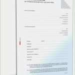 Abtretungserklärung Flugverspätung Vorlage Wunderbar Abtretungserklärung Flugverspätung Vorlage Awesome