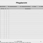 Access Datenbank Vorlagen Cd Sammlung Schönste Groß Pflegebericht Vorlage Galerie Beispiel