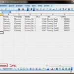 Access Vorlagen Adressverwaltung Elegant 16 Excel Adressbuch Vorlage Vorlagen123 Vorlagen123