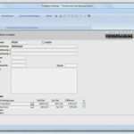 Access Zeiterfassung Vorlage Kostenlos Best Of Timeaccess Download