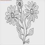 Acrylbilder Vorlagen Für Anfänger Zum Drucken Inspiration Acrylbilder Vorlagen Kostenlos Angenehm Acrylmalerei