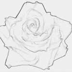 Acrylbilder Vorlagen Kostenlos Cool Blumenbilder Zum Ausdrucken Kostenlos Kinderbilder Download