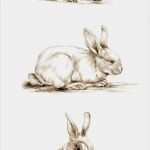 Acrylmalerei Tiere Vorlagen Erstaunlich Art Pencil Sketch Rabbit Art Rabbit Sketch Bunny by