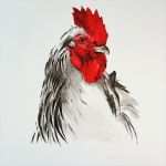 Acrylmalerei Tiere Vorlagen Hübsch Rooster In Watercolor Tiere Animals