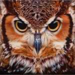Acrylmalerei Tiere Vorlagen Schönste Buho Pintado Owl