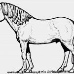 Acrylmalerei Tiere Vorlagen Schönste Pferde Ausmalbilder Kostenlos Ausmalbildertv