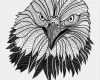 Adlerkopf Tattoo Vorlagen Bewundernswert Eagle Head Mascot Cartoon Vector