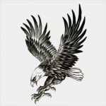Adlerkopf Tattoo Vorlagen Gut 51 Best Eagle Tattoos Design and Ideas