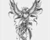 Adlerkopf Tattoo Vorlagen Gut Wolf Tattoo Vorlage Sk66