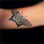 Adlerkopf Tattoo Vorlagen Süß Tattoovorlage Dotwork Schmetterling